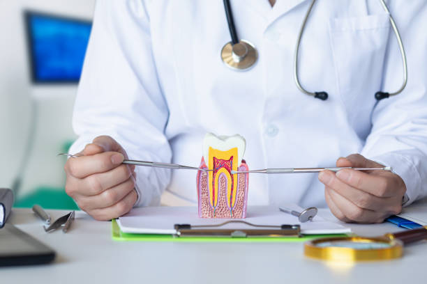 , NH Emergency Dental Service Company